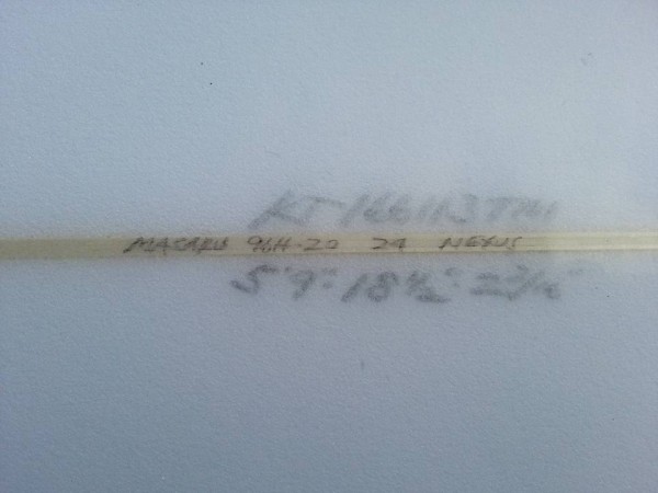 13521910_1328284210532248_1866409692541950127_n