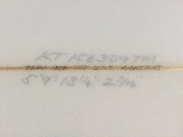 13620070_1339326939427975_5867298751334701143_n