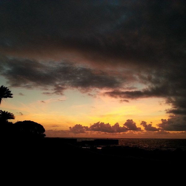 13781986_1356685824358753_2430761886318284621_n