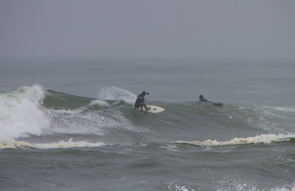 150414springer_MG_7656