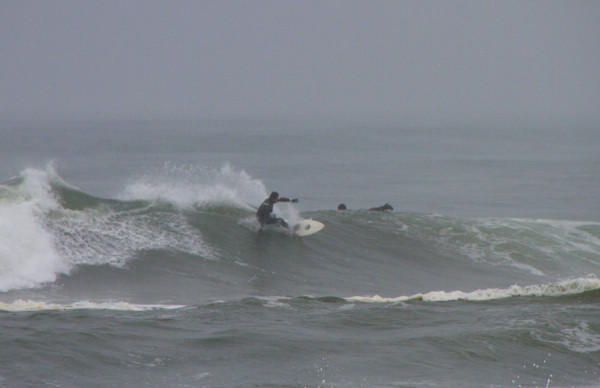 150414springer_MG_7658