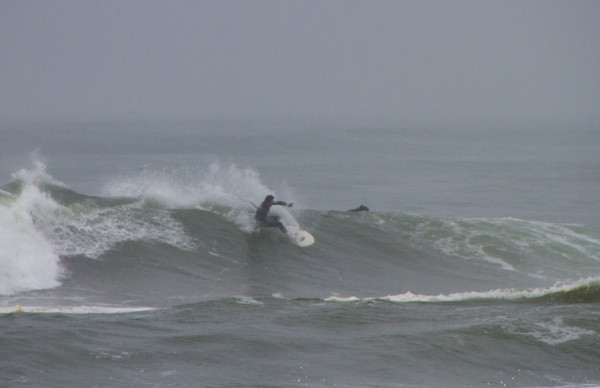 150414springer_MG_7659