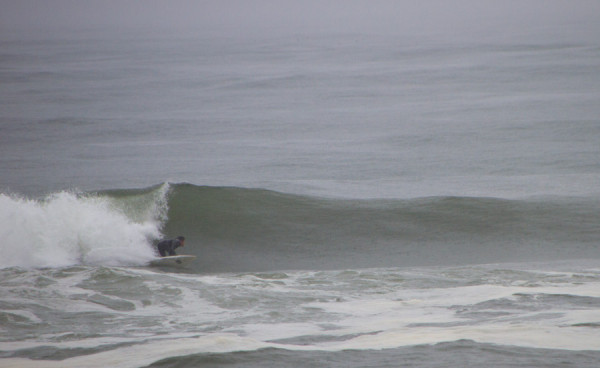 150414springer_MG_7816