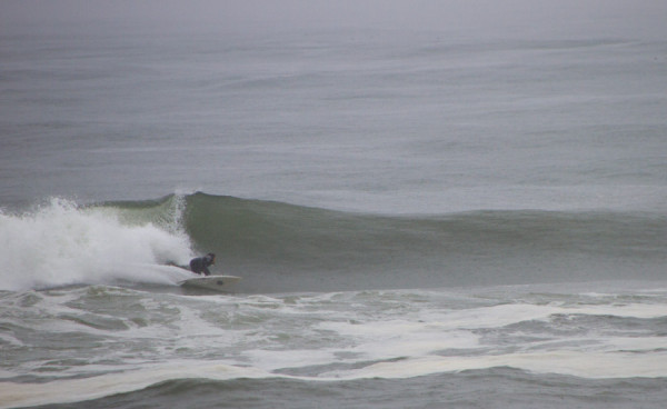 150414springer_MG_7817