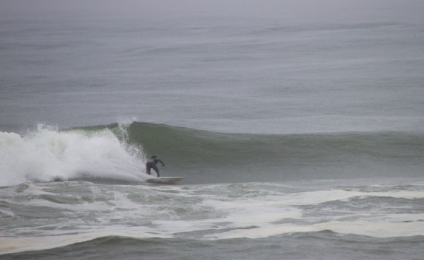 150414springer_MG_7818