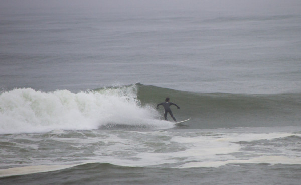 150414springer_MG_7820