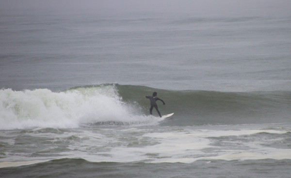 150414springer_MG_7821