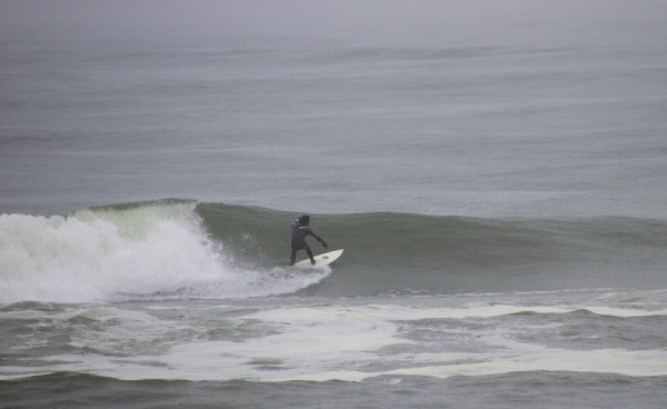 150414springer_MG_7822