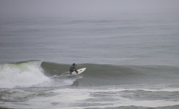 150414springer_MG_7823