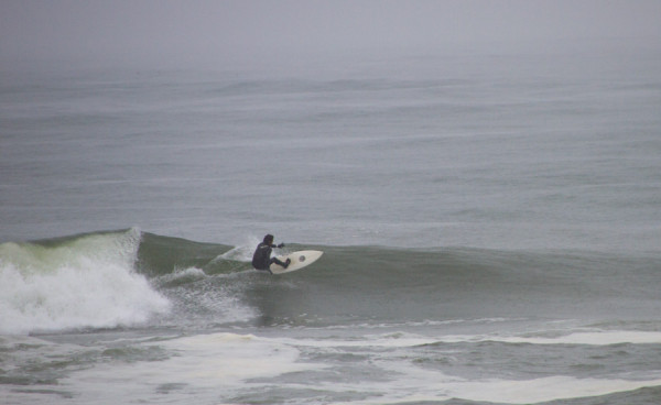 150414springer_MG_7824