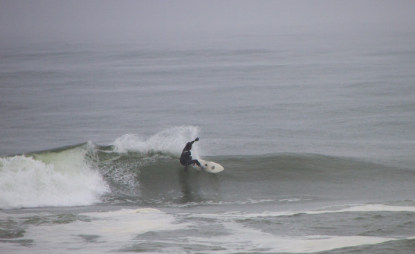 150414springer_MG_7826