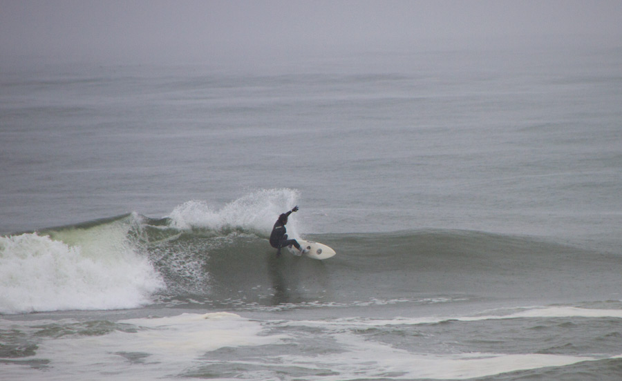 MJ’s Impression [Springer] 【ERIC ARAKAWA来日】