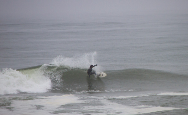 150414springer_MG_7827