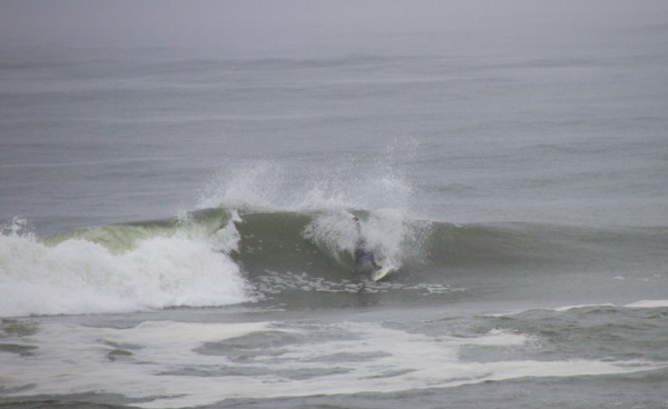 150414springer_MG_7828